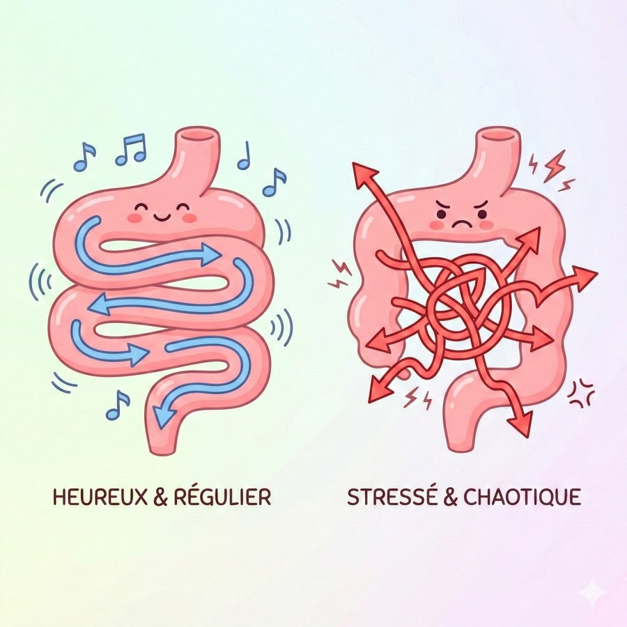 2. Le colostrum rétablit votre motilité intestinale (dites adieu à la constipation/diarrhée)